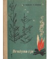 Drużyna i ja. Podręcznik drużynowego drużyny młodszoharcerskiej