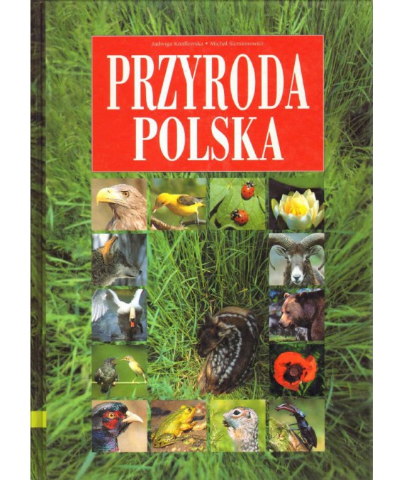 Przyroda polska