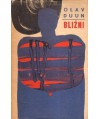 Bliźni