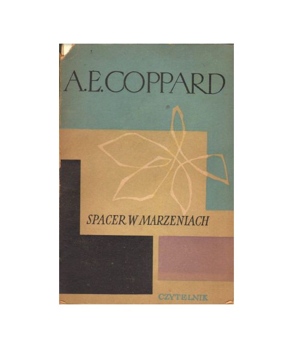 Spacer w marzeniach