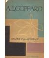 Spacer w marzeniach
