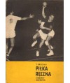 Piłka ręczna siedmioosobowa