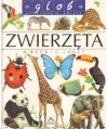 Zwierzęta