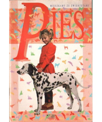 Pies