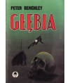 Głębia