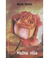 Ważna róża. Krótkie opowiadania dla ducha