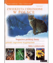 Zwierzęta chronione w Polsce. Bogactwo polskiej fauny, gatunki zagrożone wyginięciem, fakty i ciekawostki