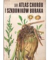 Atlas chorób i szkodników buraka