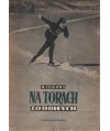Na torach lodowych