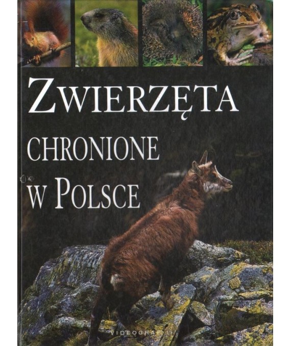 Zwierzęta chronione w Polsce