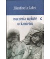 Marzenia wykute w kamieniu