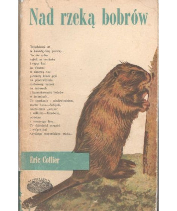 Nad rzeką bobrów