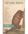 Nad rzeką bobrów