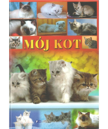 Mój kot