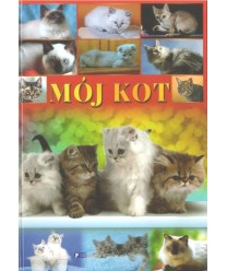 Mój kot