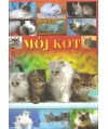 Mój kot