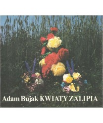 Kwiaty Zalipia
