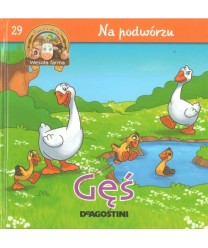 Gęś. Gąsior i gąsięta