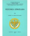 Chóry na Górnym Śląsku