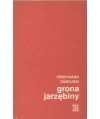 Grona jarzębiny