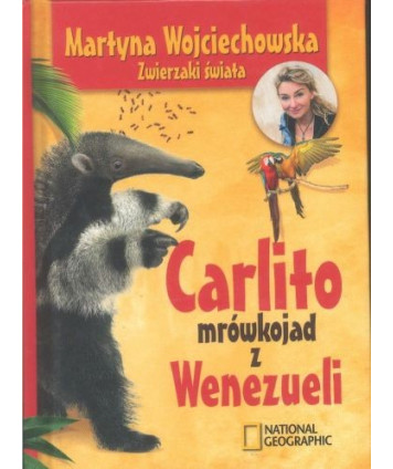 Carlito mrówkojad z Wenezueli