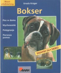 Bokser