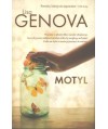 Motyl