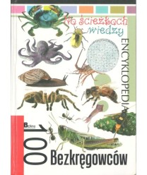 100 bezkręgowców