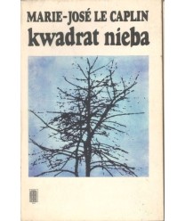 Kwadrat nieba