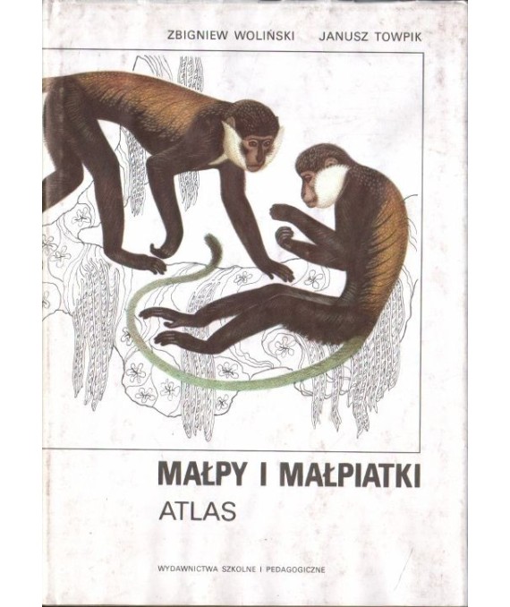 Małpy i małpiatki. Atlas