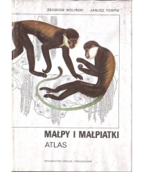 Małpy i małpiatki. Atlas