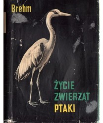 Życie zwierząt. Ptaki