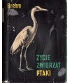 Życie zwierząt. Ptaki