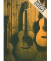 Martin Guitars.  A History by Mike Longworth