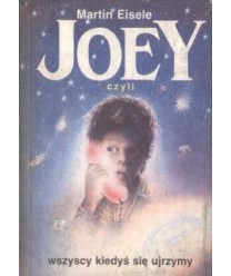 Joey czyli wszyscy kiedyś się ujrzymy