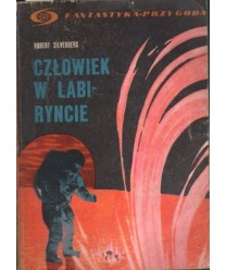 Człowiek w labiryncie