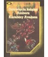 Dziewięciu książąt Amberu, Karabiny Avalonu