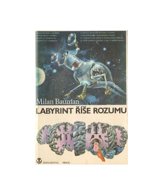 Labyrint rise rozumu