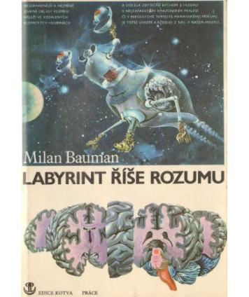 Labyrint rise rozumu