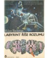 Labyrint rise rozumu