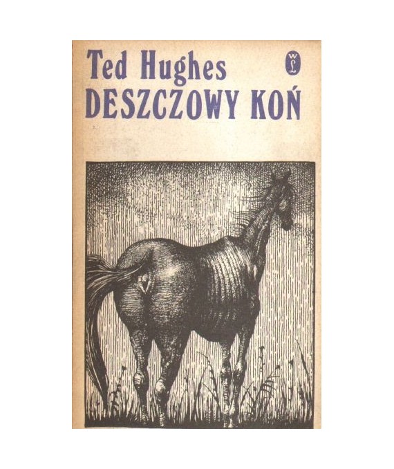 Deszczowy koń