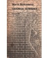 Granica istnienia
