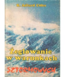 Żeglowanie w warunkach sztormowych