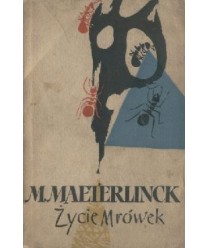 Życie mrówek
