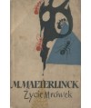 Życie mrówek