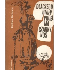 Dlaczego biały pudel ma czarny nos