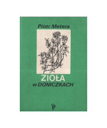 Zioła w doniczkach