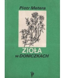 Zioła w doniczkach