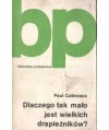 Dlaczego tak mało jest wielkich drapieżników? Eseje ekologiczne