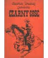 Czarny gość